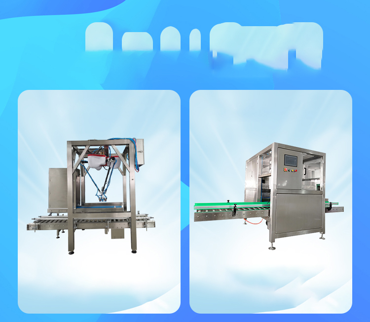 全自動裝箱機(jī)